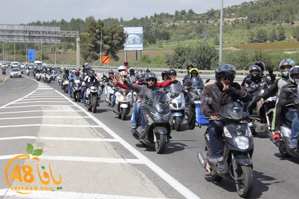 masira3j hasdj3 (65).JPG